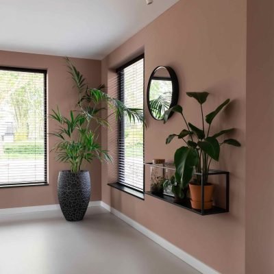 FMS_RENOV_Peinture_PRO